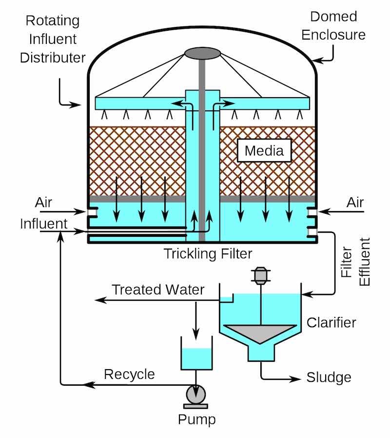 Schematic diagram of a trickling filter
